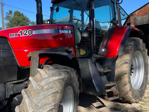 WhatsApp Image 2024-10-25 at 00.10.06