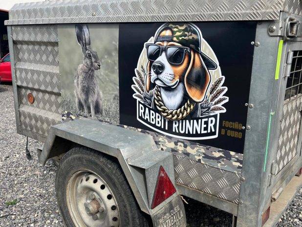 WhatsApp Image 2024-10-25 at 00.10.07