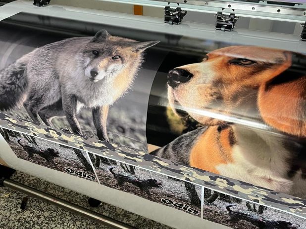 WhatsApp Image 2024-10-25 at 00.10.07(2)